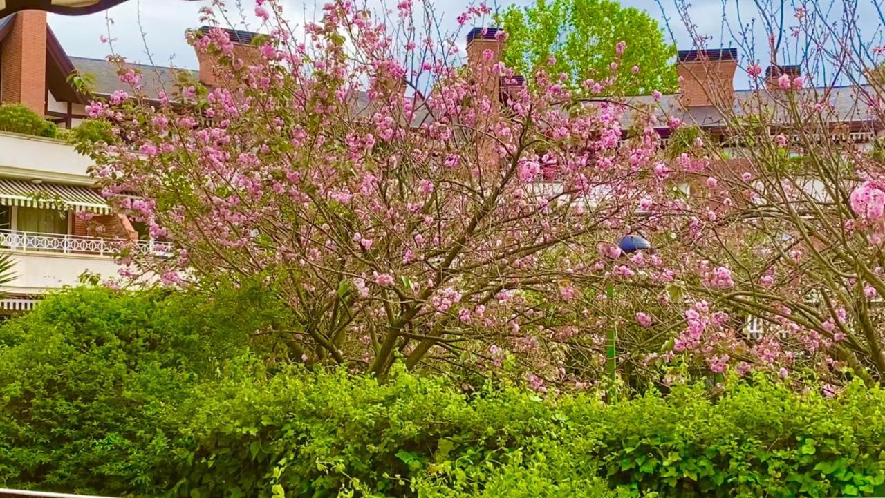 Apartamento Con Jardin Getxo Exterior photo